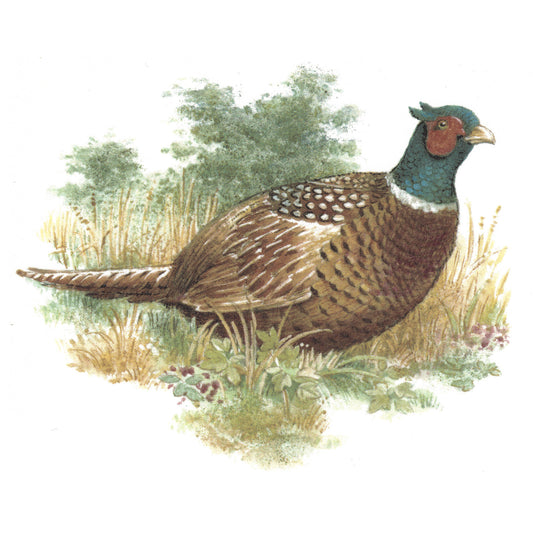 Pheasant in the Field Overglaze Waterslide Ceramic Decals