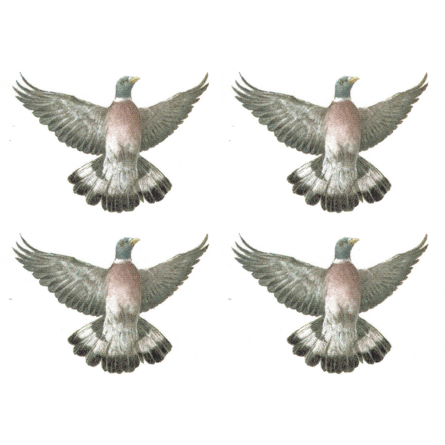 Wood Pigeon Overglaze Waterslide Ceramic Decals