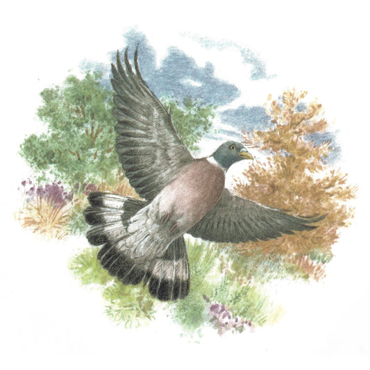 Wood Pigeon in Flight with Background Overglaze Waterslide Ceramic Decals