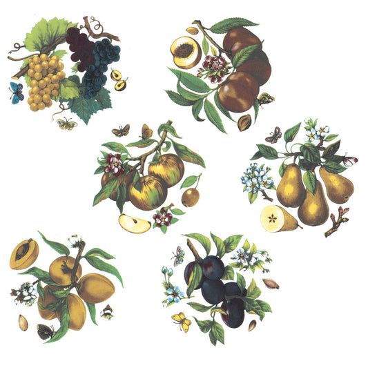 Fruits and Butterflies Set of 6 Overglaze Waterslide Ceramic Decals