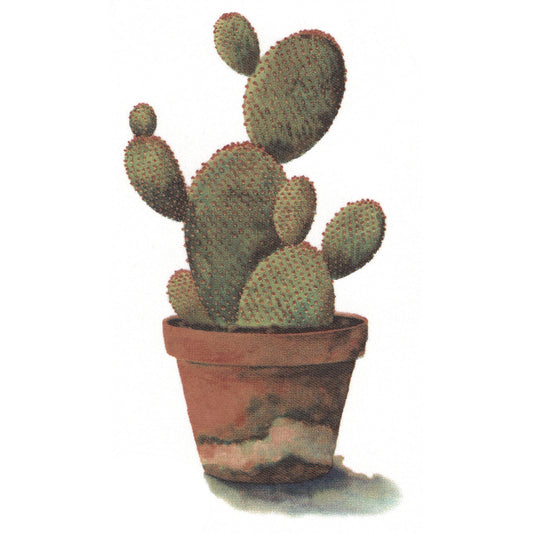 Cactus in a Pot Overglaze Waterslide Ceramic Decals
