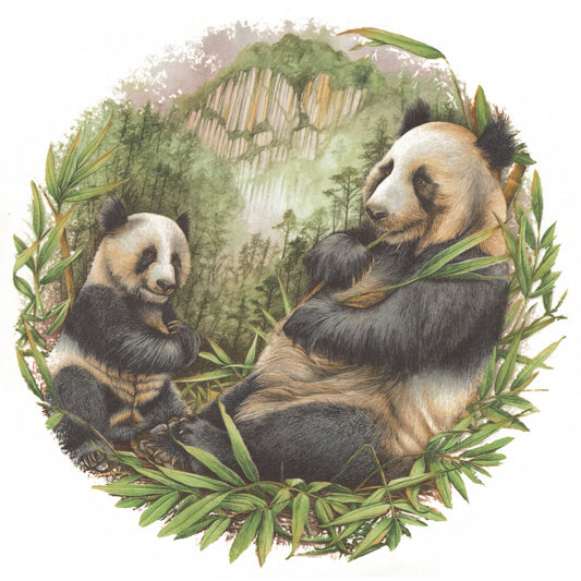 Panda Bear and Cub Overglaze Waterslide Ceramic Decals