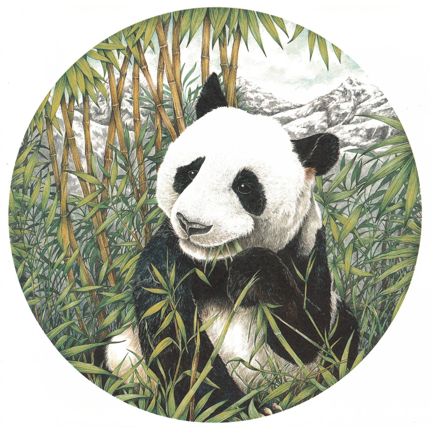 Giant Panda in the Jungle Overglaze Waterslide Ceramic Decals