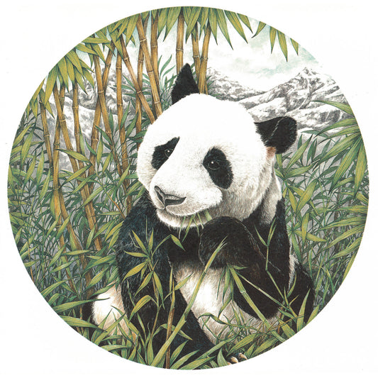Giant Panda in the Jungle Overglaze Waterslide Ceramic Decals
