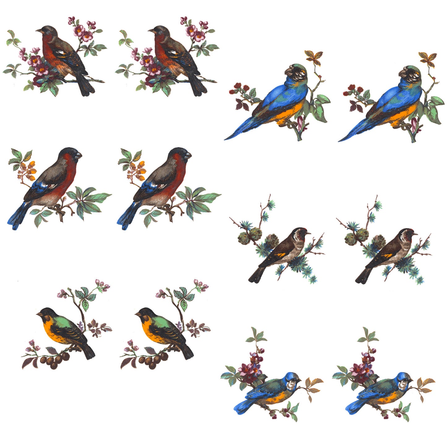 Color Bird Variety 12 pc Set 2 Inch Overglaze Waterslide Ceramic Decal