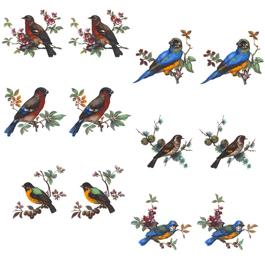 Color Bird Variety 12 pc Set 2 Inch Overglaze Waterslide Ceramic Decal