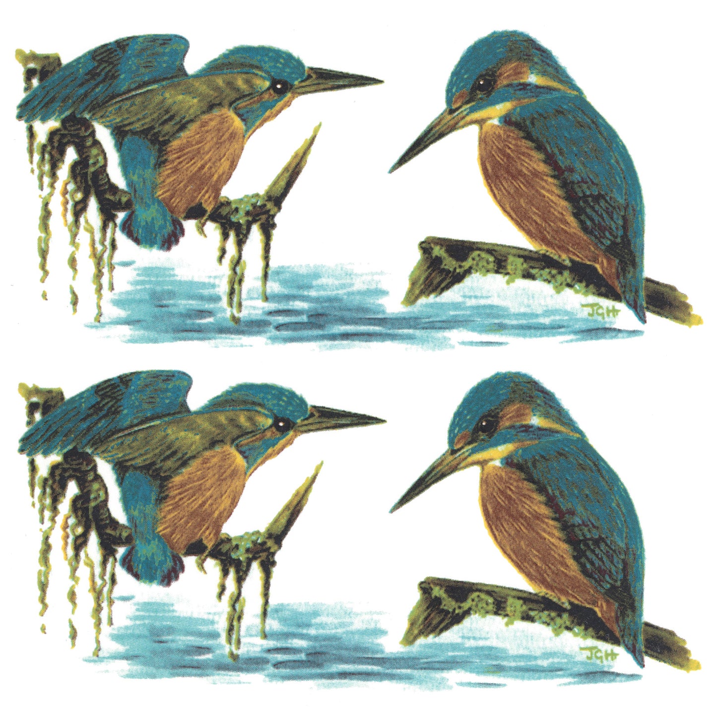 Kingfisher Birds Mug Wrap 7 Inch 2 pcs Overglaze Waterslide Ceramic Decal