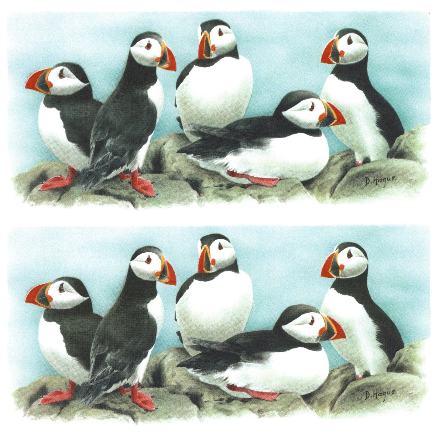 Puffin Seabirds Mug Wrap 7.5 Inch 2 pcs Overglaze Waterslide Ceramic Decals