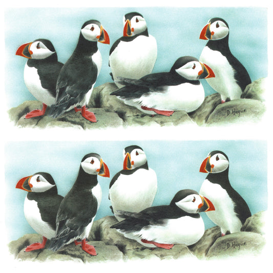 Puffin Seabirds Mug Wrap 7.5 Inch 2 pcs Overglaze Waterslide Ceramic Decals