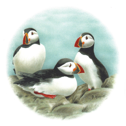 Puffin Seabirds Rounds Overglaze Waterslide Ceramic Decals
