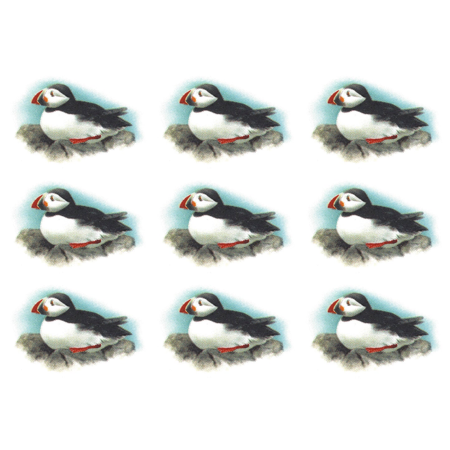 Puffin Seabirds 1.5 Inch 9 pcs Overglaze Waterslide Ceramic Decals