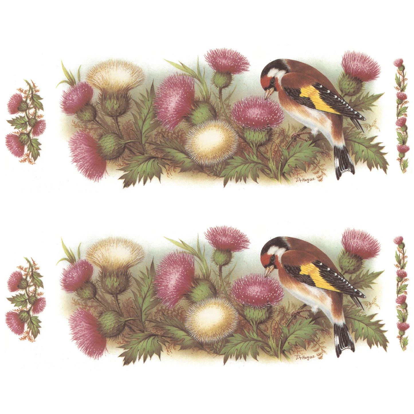 Goldfinch Thistle Mug Cup Wrap 8 Inch 2 pcs Overglaze Waterslide Ceramic Decal