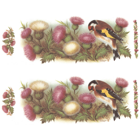 Goldfinch Thistle Mug Cup Wrap 8 Inch 2 pcs Overglaze Waterslide Ceramic Decal