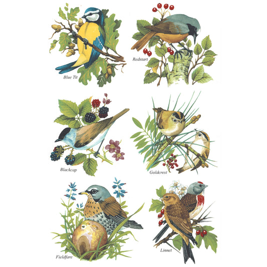 Set of 6 Colorful Songbirds Overglaze Ceramic Decals