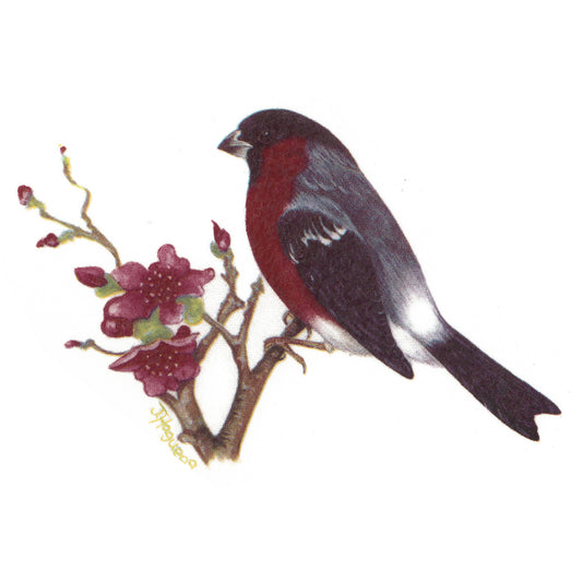 Bullfinch Birds Select Size Overglaze Ceramic Decals