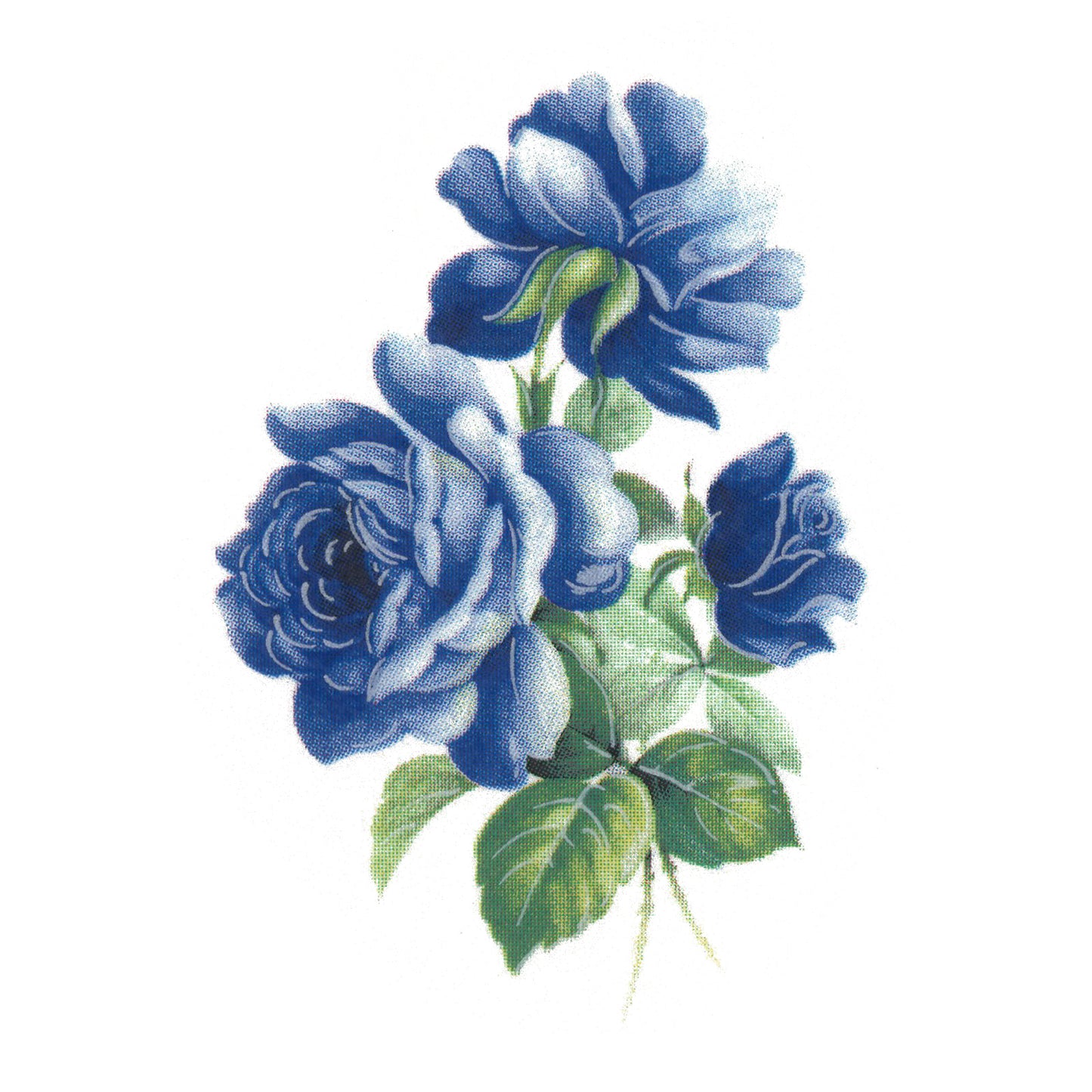 Blue Rose Flower Sketch Overglaze Waterslide Ceramic Decals