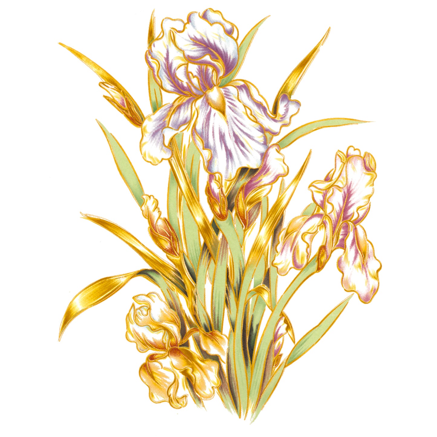 Golden Irises Overglaze Waterslide Ceramic Decals