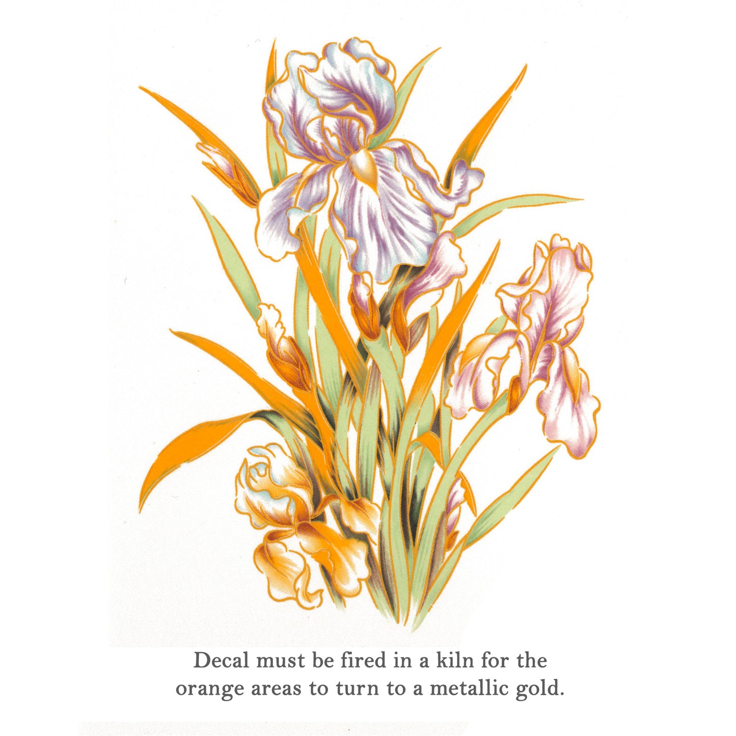 Golden Irises Overglaze Waterslide Ceramic Decals