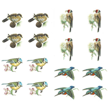 Birds Thrush Goldfinch Kingfisher Blue Tit Overglaze Waterslide Ceramic Decals