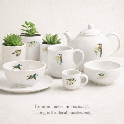 Birds Thrush Goldfinch Kingfisher Blue Tit Overglaze Waterslide Ceramic Decals