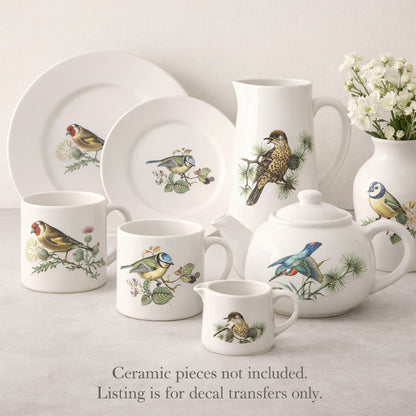 British Birds Thrush Kingfisher Goldfinch Blue Tit Waterslide Ceramic Decals