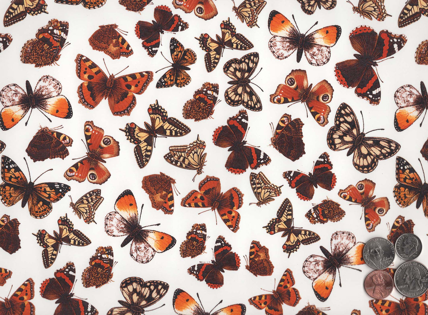 Allover Butterfly Chintz 1 pc 9" X 13-3/4" Overglaze Ceramic Decal Sheet