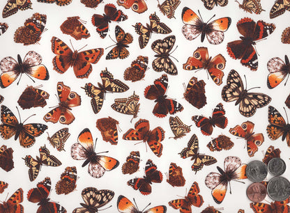 Allover Butterfly Chintz 1 pc 9 x 13.5 Inch Overglaze Ceramic Decal Sheet