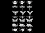 Dragonfly Bee Moth Beetle Collection 21 pcs 3/4" White Fused Glass Decals