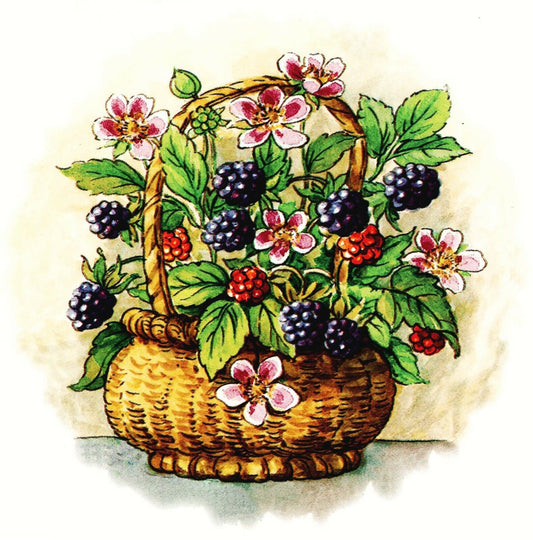 Raspberry Wicker Basket Fruit 2 pcs 4-3/4" Waterslide Ceramic Decals