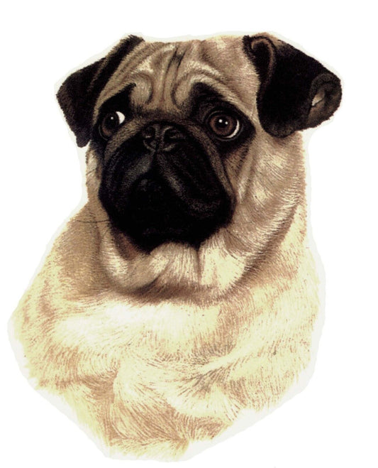 Pug Sad Eyed Puppy Dog Overglaze Waterslide Ceramic Decals