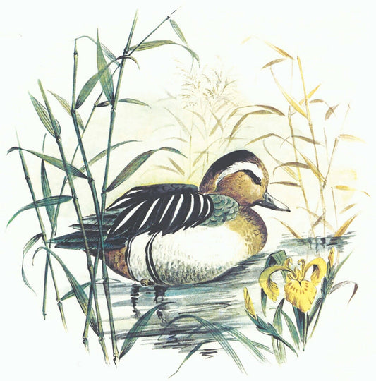 Duck Wild Bird Overglaze Waterslide Ceramic Decals