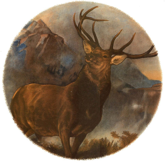 Elk Mountain Overglaze Waterslide Ceramic Decals