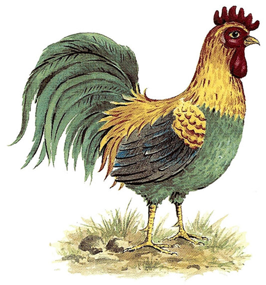 Rooster Barnyard Overglaze Waterslide Ceramic Decals