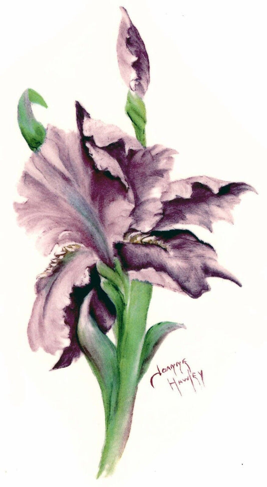 Hawley Iris Lavender Flower Select-A-Size Waterslide Ceramic Decals