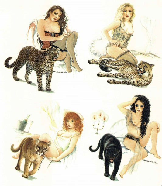 Wild Cat Women Wildcat Ladies Overglaze Waterslide Ceramic Decals
