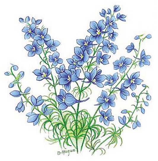 Flower of the Month July Larkspur Overglaze Waterslide Ceramic Decals