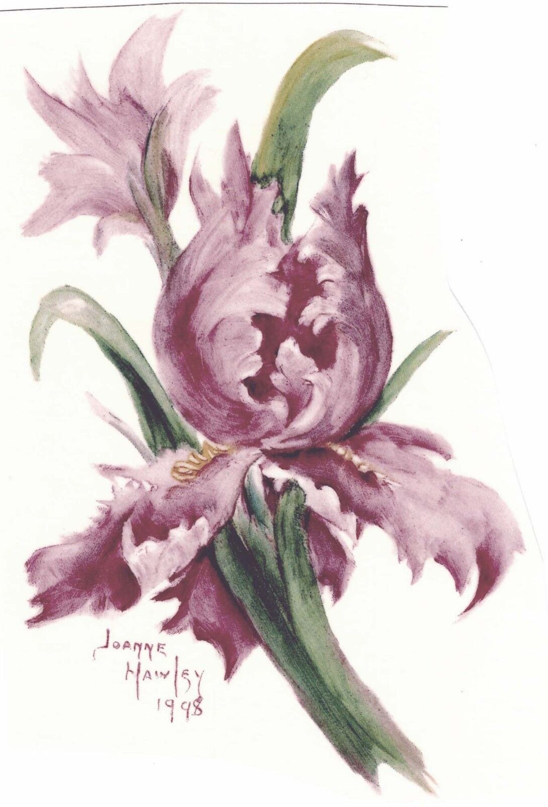 Hawley Iris Pink Flower Select-A-Size Waterslide Ceramic Decals