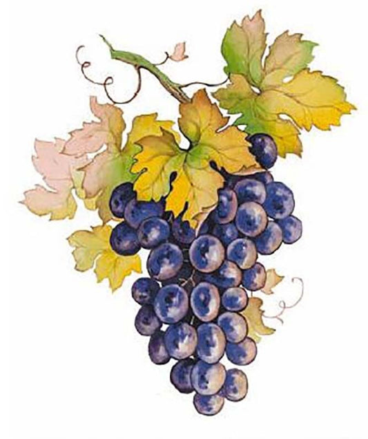 Purple Grape Cluster Grapes Overglaze Waterslide Ceramic Decals