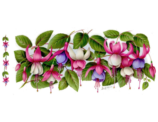 Fuchsia Flower Wrap Wraparound 7 1/2" X 3 1/2" Overglaze Waterslide Ceramic Deca