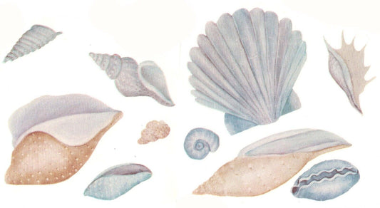 Blue Tan Seashells Sea Shells Overglaze Waterslide Ceramic Decals
