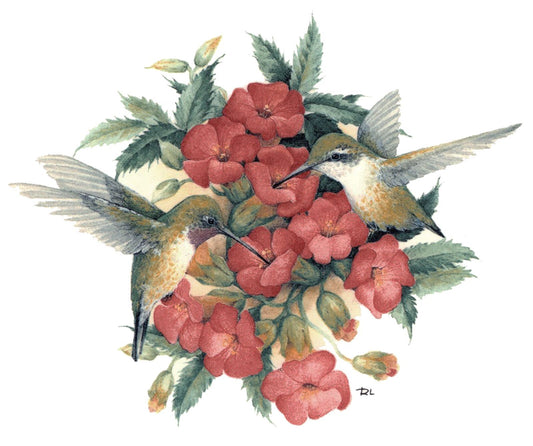 Hummingbird Orange Blossom Overglaze Waterslide Ceramic Decals