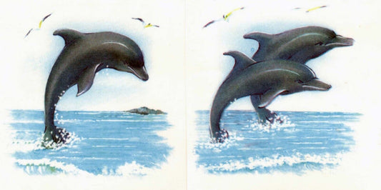Dolphin Blue Ocean Sky Seagull Overglaze Waterslide Ceramic Decals