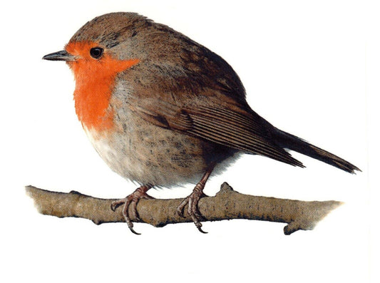 Red Robin Rotkehlchen Bird Overglaze Waterslide Ceramic Decals