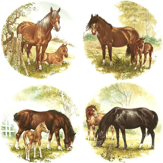Horse Colt 4 pc Set Overglaze Waterslide Ceramic Decals