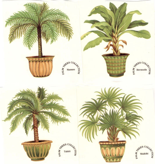 Potted Palm Tree Plants Overglaze Waterslide Ceramic Decals