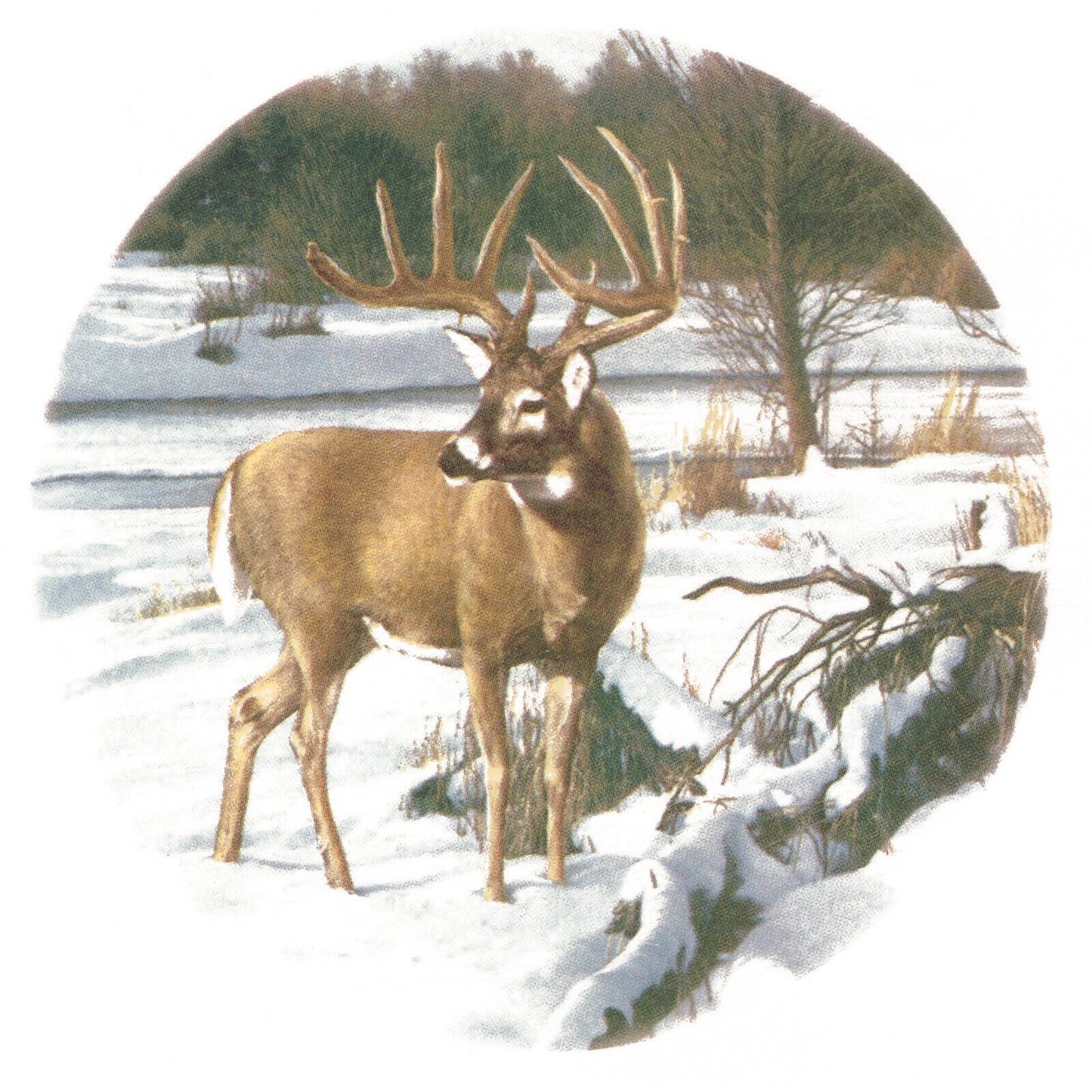 White Tailed Deer Stag Winter Snow Overglaze Ceramic Waterslide Decals