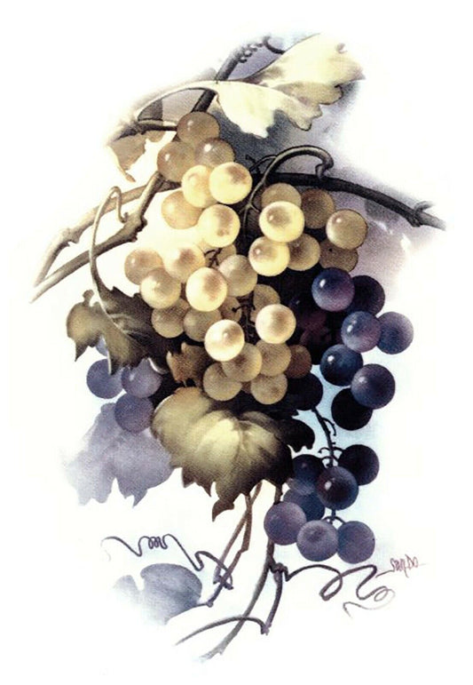San Do Green Purple Grapes Overglaze Waterslide Ceramic Decals
