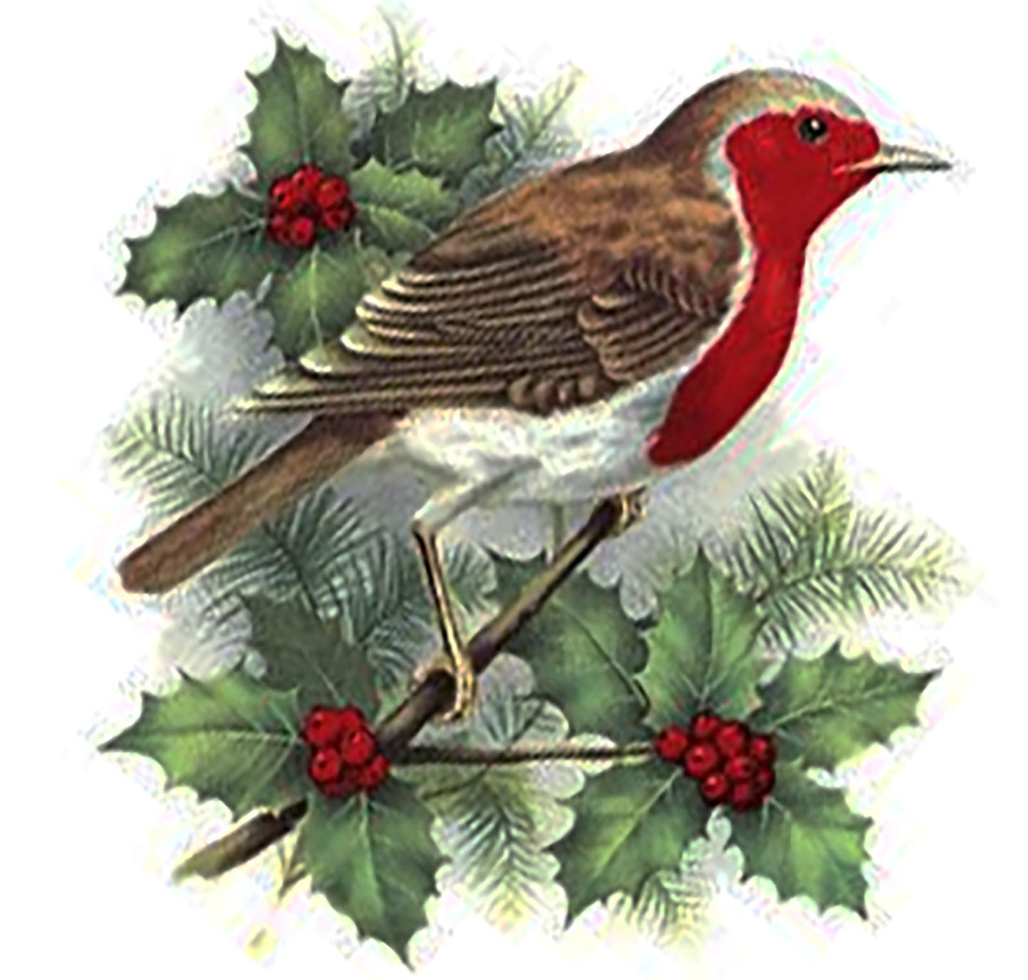 Christmas Robin Bird Holly Berry 1 pc 5.5" Waterslide Ceramic Decal