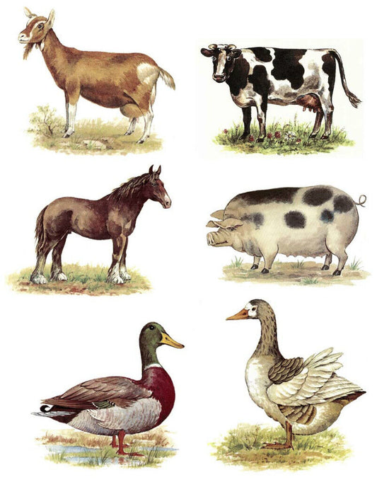 Select Farm Animal Cow Goat Horse Duck Pig Rooster Waterslide Ceramic Decals