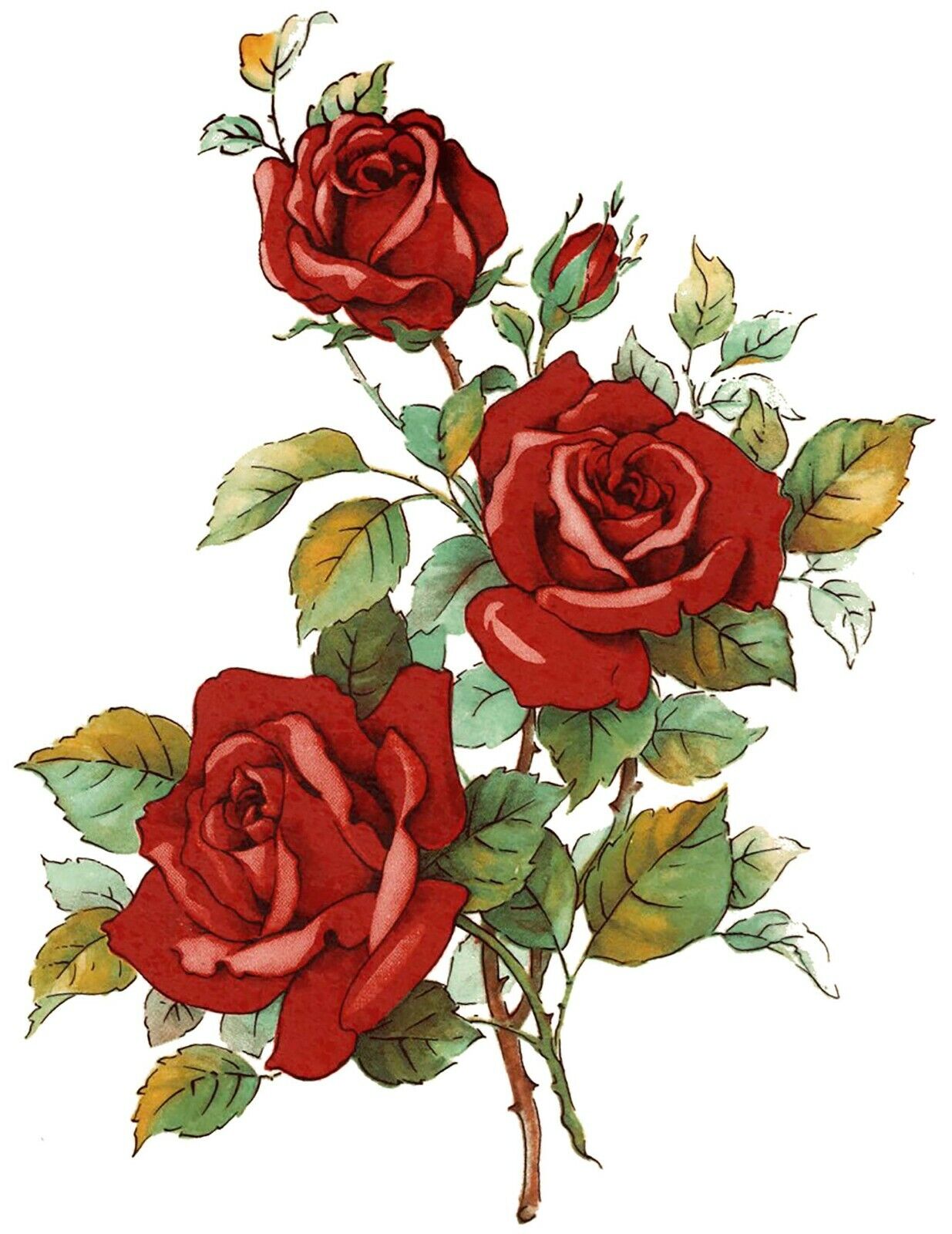 Red Rose Stem Green Leaves Overglaze Waterslide Ceramic Decals